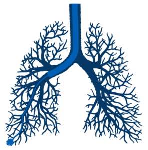 肺支气管镜检查